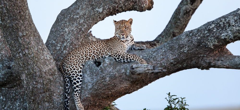 Serengeti National Park