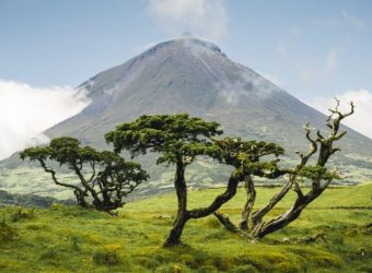 Mt. Pico, Azoren - Shutterstock