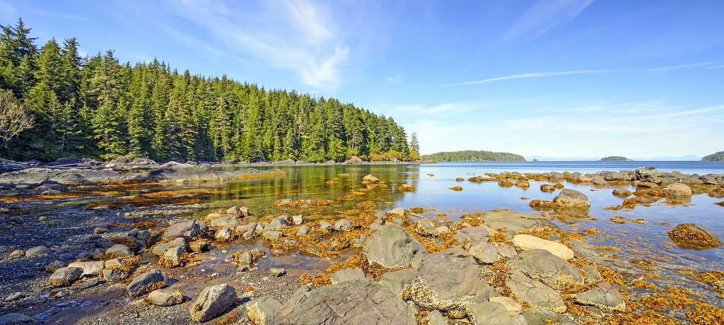 Storey's Beach, Vancouver Island, Canada - Shutterstock