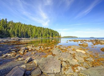 Storey's Beach, Vancouver Island, Canada - Shutterstock