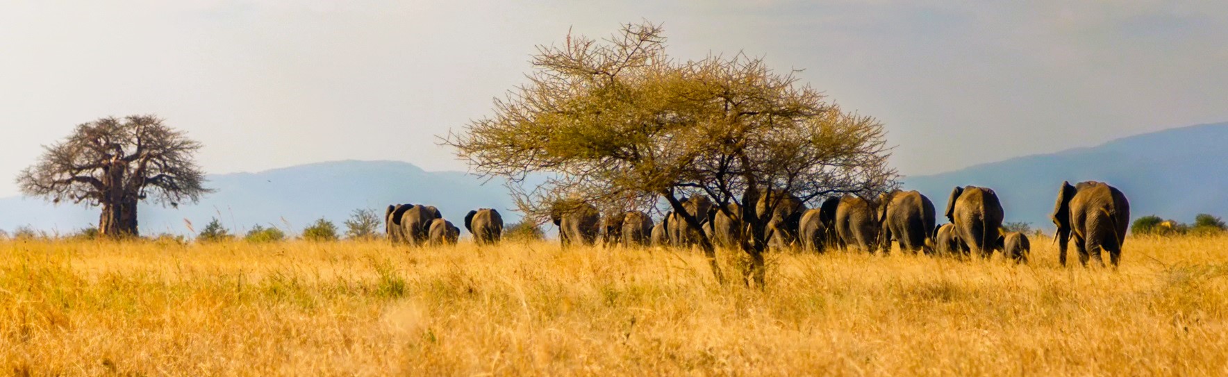 Tarangire National Park