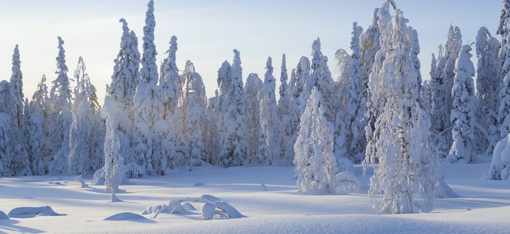 Sneeuwschoenwandeling, Lapland - Shutterstock