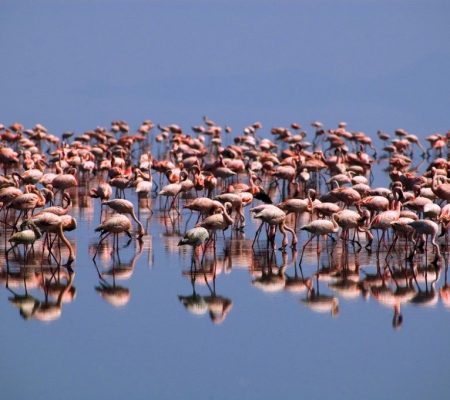 Lake Natron