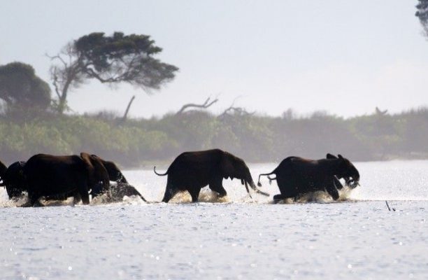 Loanga National Park, Gabon