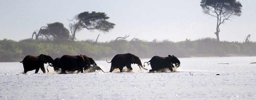 Loanga National Park, Gabon