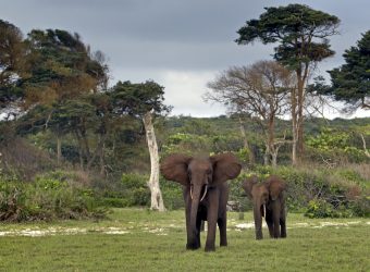 Loango National Park