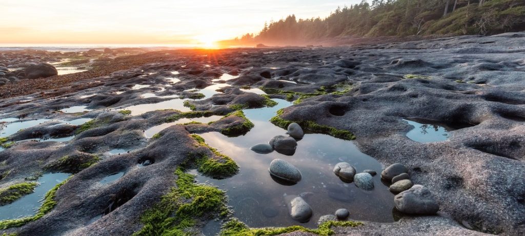 Port Renfrew, Vancouver Island, Canada - Shutterstock Port Renfrew, Vancouver Island, Canada - Shutterstock