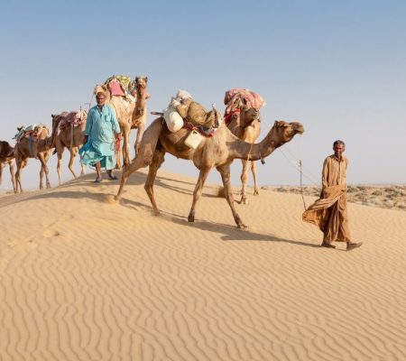 Kamelen tocht, Thar desert, India - Shutterstock Thar desert