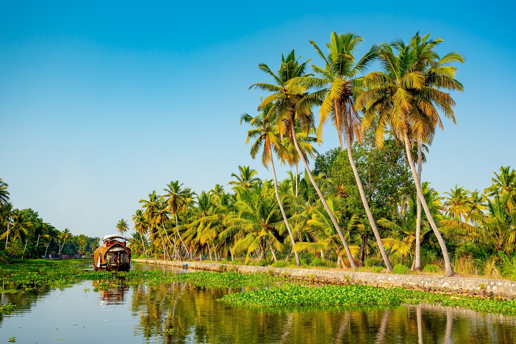 Kerala backwaters