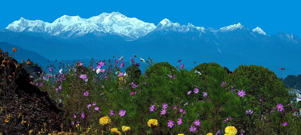 Singalila. West Bengal, India - Shutterstock Singalila. West Bengal, India - Shutterstock