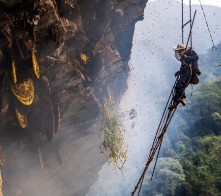 Honing hunter, Nepal - Shutterstock