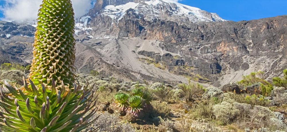 Mt. Kilimanjaro