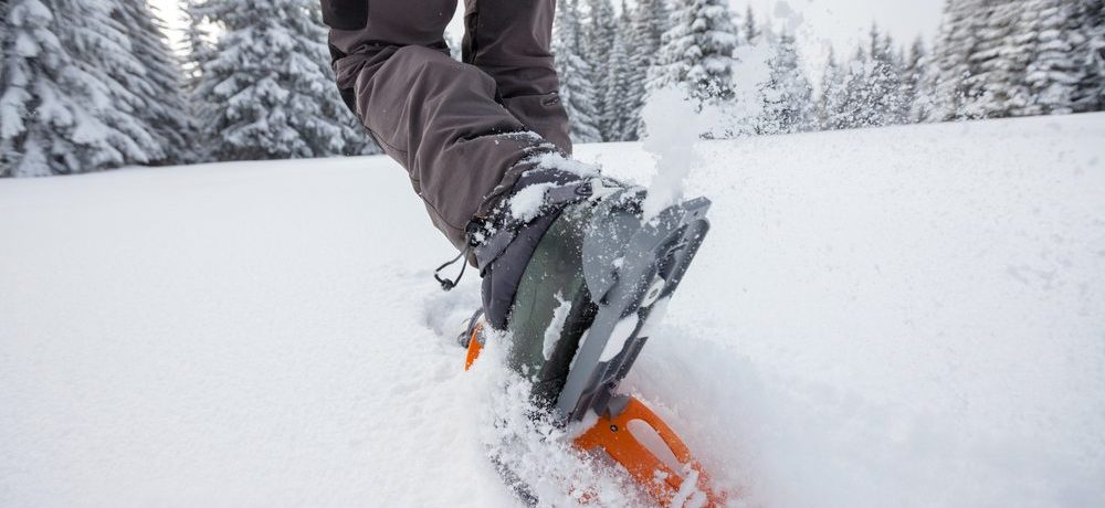 Sneeuwschoenwandeling, Lapland - Shutterstock