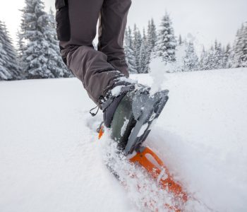 Activiteiten Zweden - Shutterstock