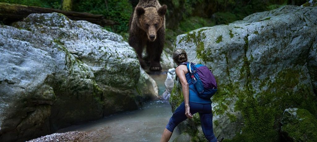Wandelen, Grizzly beer, Canada - Shutterstock