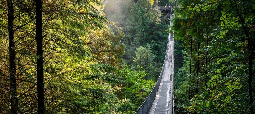Capilano Suspension Bridge Park, Vancouver, Canada - Shutterstock