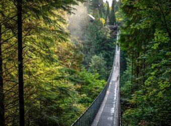 Capilano Suspension Bridge Park, Vancouver, Canada - Shutterstock