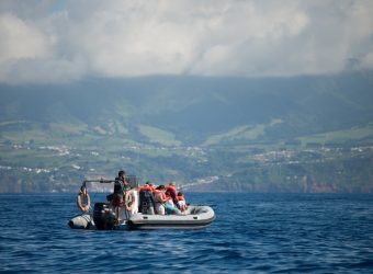 Azoren walvissen spotten op Pico