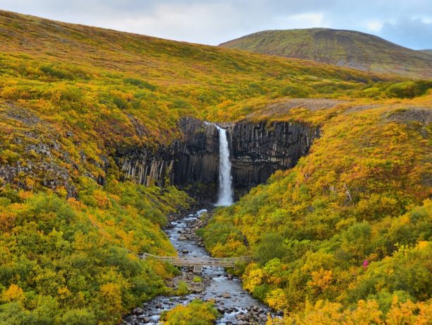 Svartifoss, Skaftafell, IJsland - Shutterstock