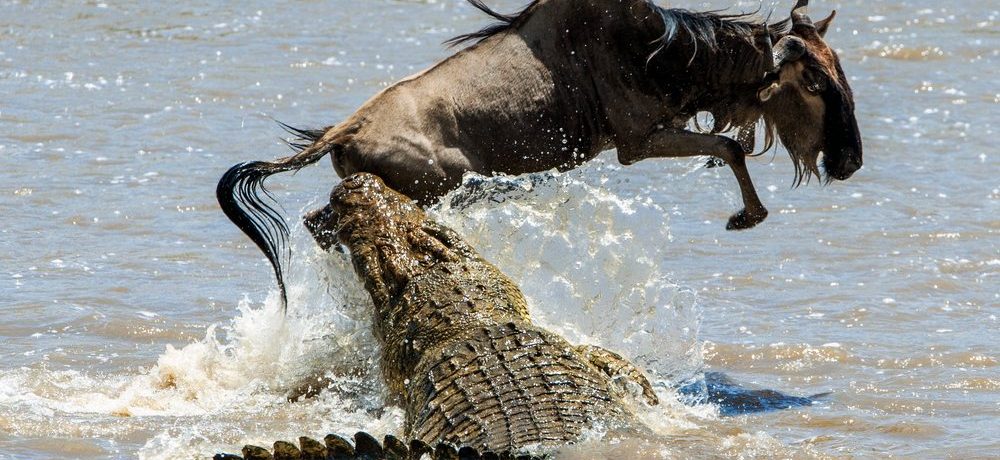 Serengeti National Park