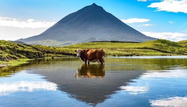 Lagoa do Capitao Pico Azoren - Shutterstock Lagoa do Capitao Pico Azoren