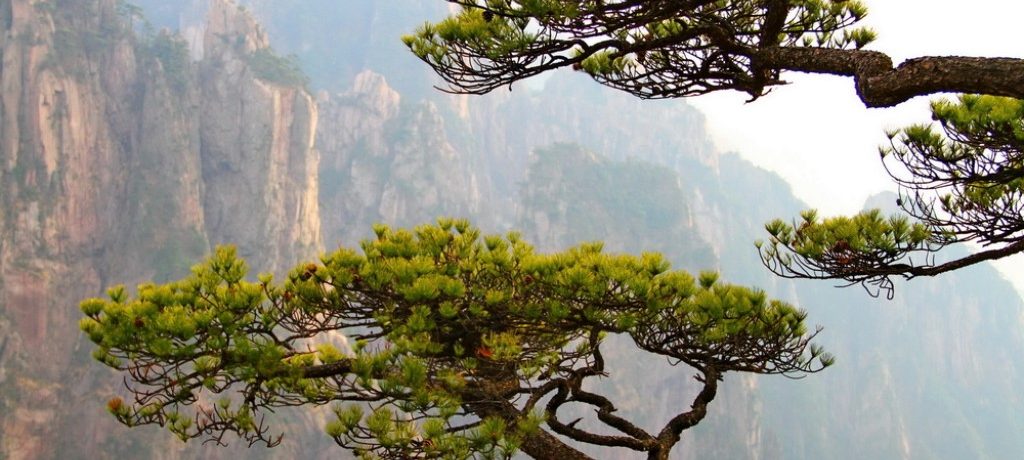 Huangshan mountians, China - Shutterstock