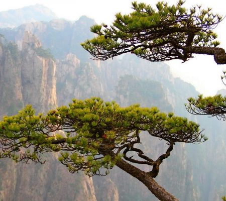 Huangshan mountians, China - Shutterstock