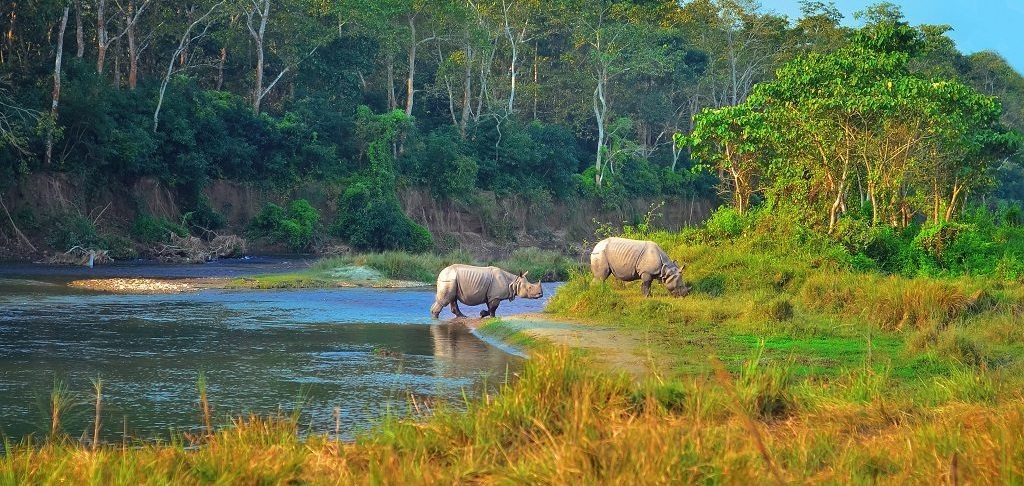 Chitwan, Neushoorn. Luxe rondreis Nepal hoogtepunten