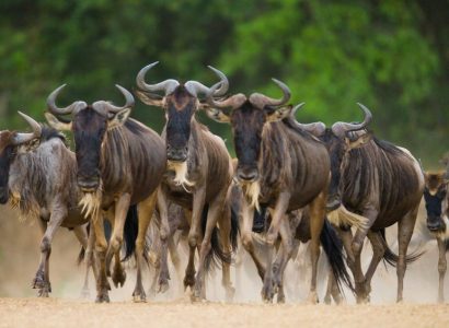 Serengeti National Park