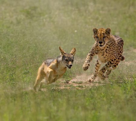 Tarangire National Park, rondreis