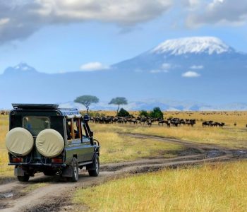 Amboseli National Park, Nationale parken van Kenia, Oost Kenia Safari