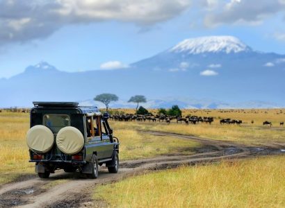 Amboseli National Park, Nationale parken van Kenia, Oost Kenia Safari