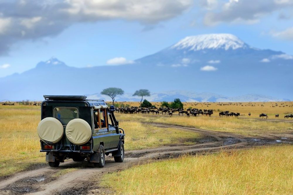 Amboseli National Park, Nationale parken van Kenia, Oost Kenia Safari