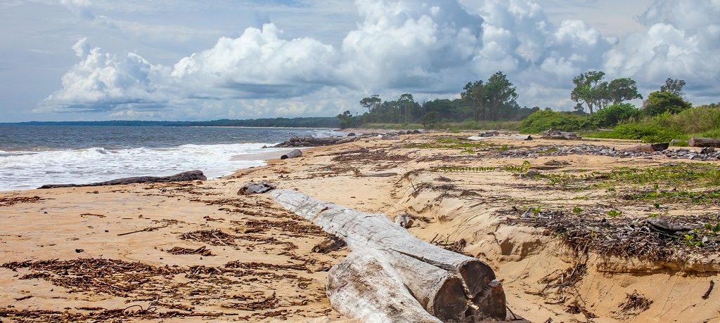 Loango National Park
