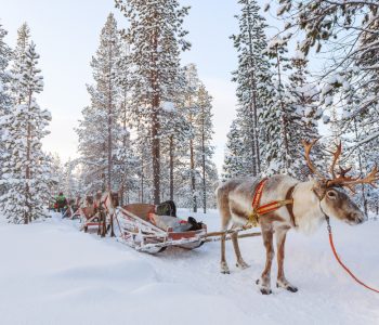 Rendiersafari Lapland - Shutterstock Rendiersafari Lapland - Shutterstock