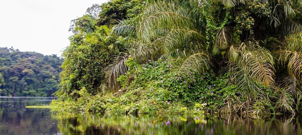 Loango National Park
