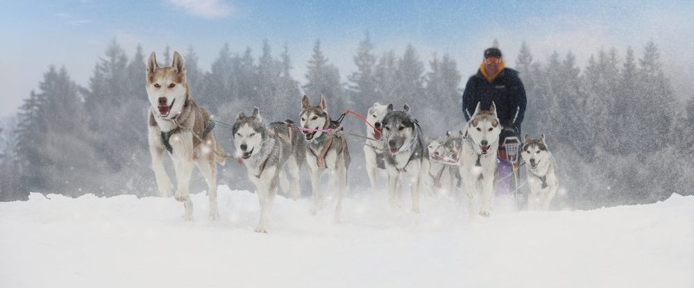 Finland vakantie winter