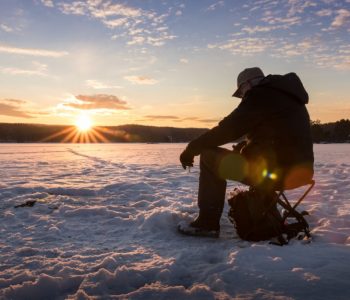 IJsvissen Noorwegen - Shutterstock IJsvissen, Noors Lapland, Noorwegen