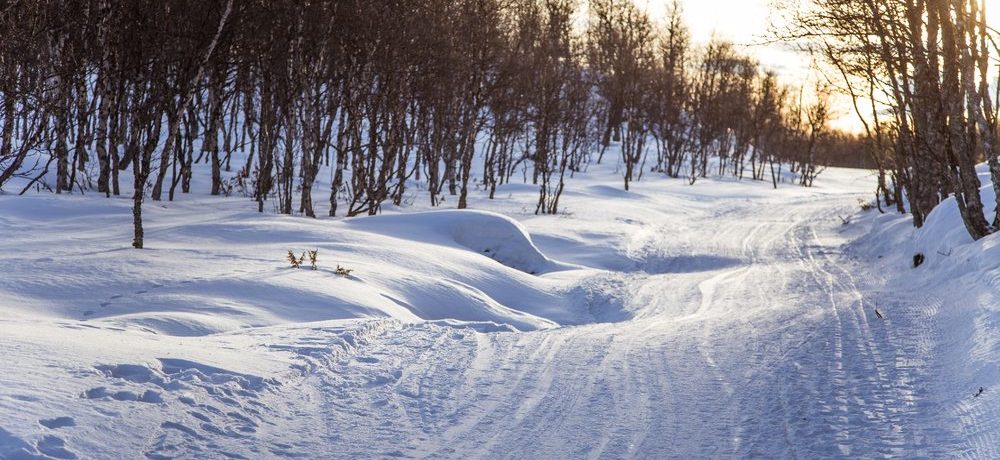 Sneeuwscooter, husky safari tracks, Noorwegen, Lapland - Shutterstock