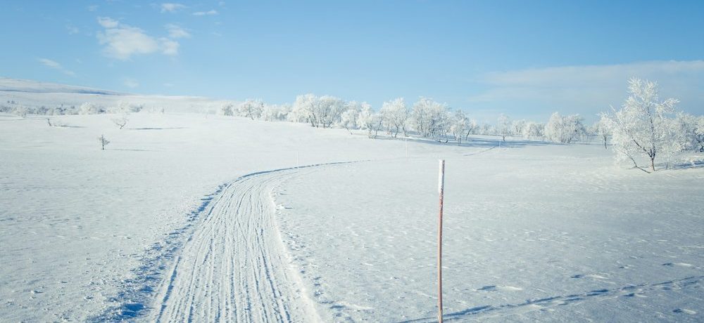 Sneeuwscooter, husky safari tracks, Noorwegen, Lapland - Shutterstock