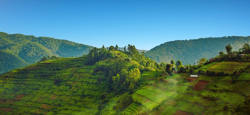 Bwindi, Rwanda - Shutterstock