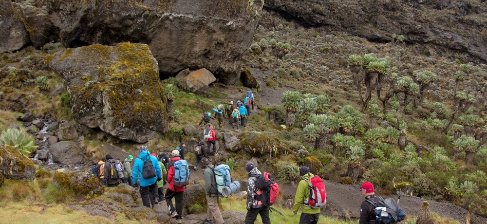 Kilimanjaro beklimmen Machame