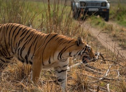 India natuur reizen