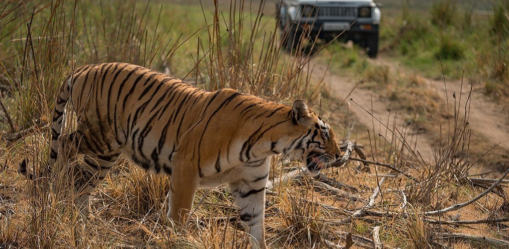 India natuur reizen