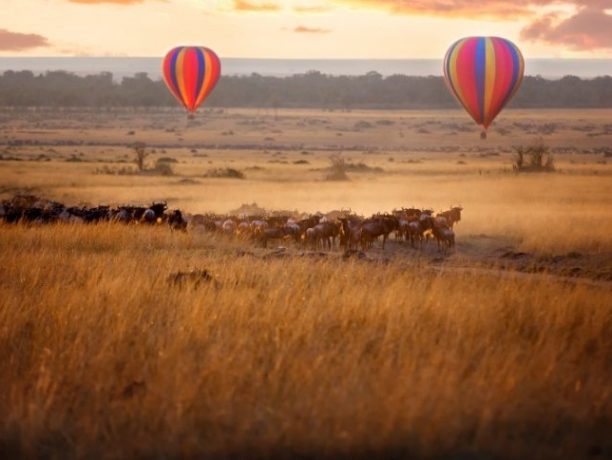 Luchtballon, grote trek, Serengeti, Tanzania - Shutterstock De grote trek in de Serengeti, Ballonvaart Tanzania & Kenia, Wildlife Holiday