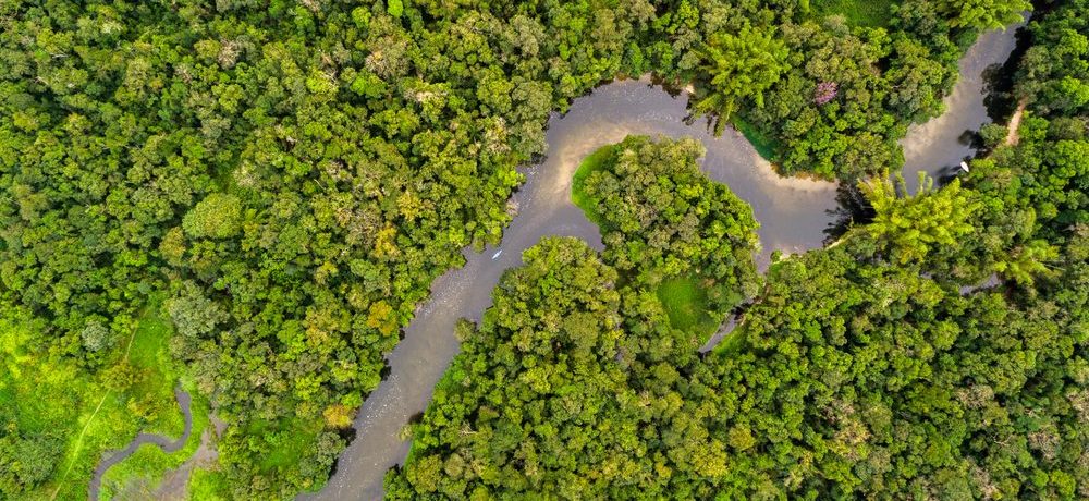 Loango National Park