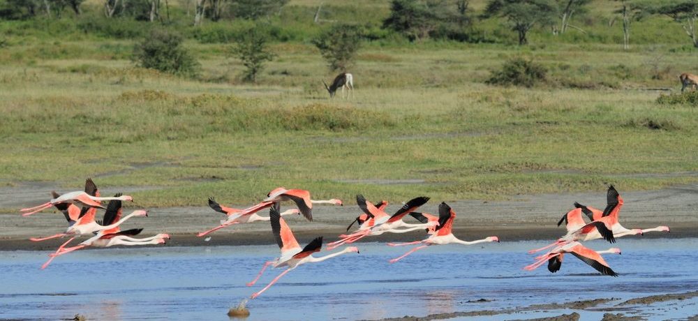 Serengeti National Park