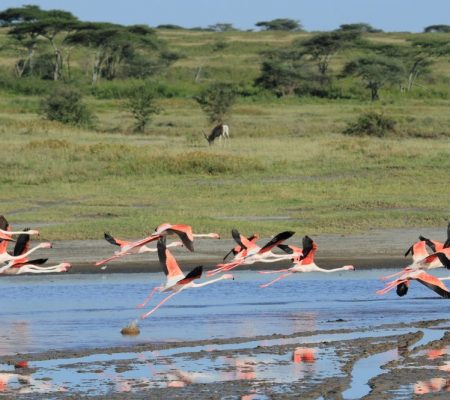 Serengeti National Park