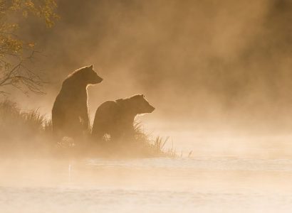 Beren Canada, Vancouver Island en Knight Inlet Lodge