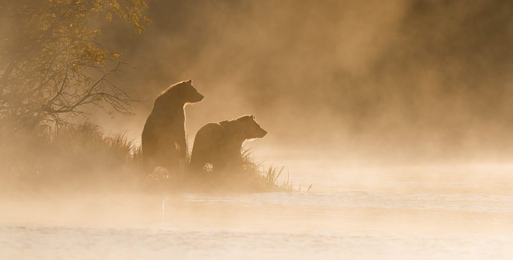 Beren Canada, Vancouver Island en Knight Inlet Lodge